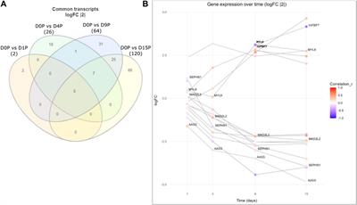 Alternative polyadenylation and dynamic 3′ UTR length is associated with polysome recruitment throughout the cardiomyogenic differentiation of hESCs